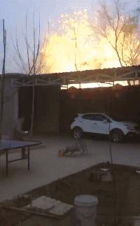 两根黄瓜搞笑图片,腰椎间盘突出搞笑图片高清大图