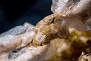 秦皇岛海鲜码头4月开海,秦皇岛开海海鲜