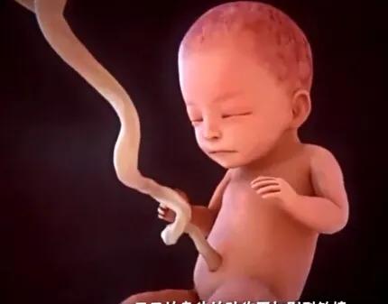 孕妇补充钙叶酸铁,孕妇补铁补钙维生素叶酸