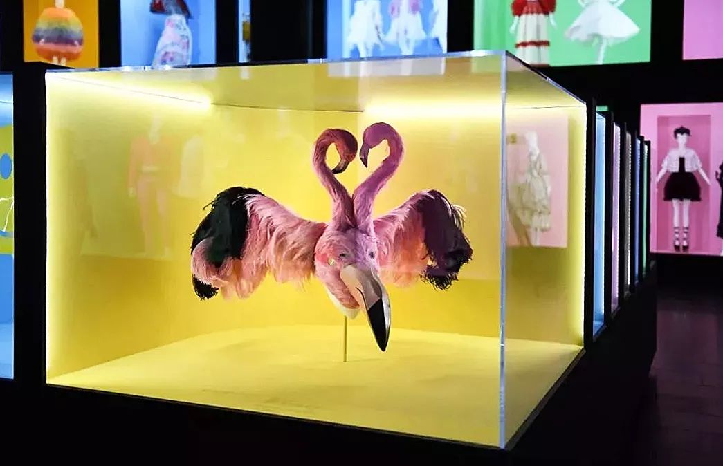 摇滚、坎普、Kaws：狂野又优雅的七月看展指南