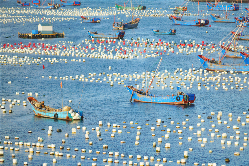 嵊泗旅游美食攻略,嵊泗攻略3天2夜美食推荐