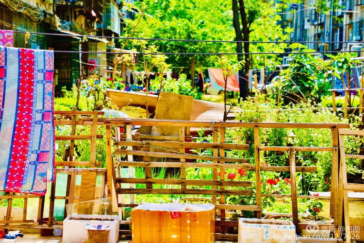 洛阳涧西区一拖八号家属院,洛阳涧西区一拖8号院