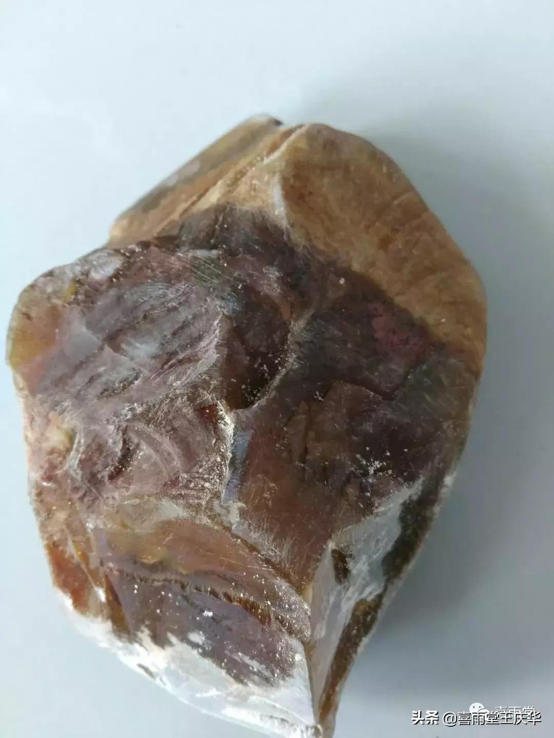 草原行蔚县,内蒙古草原行