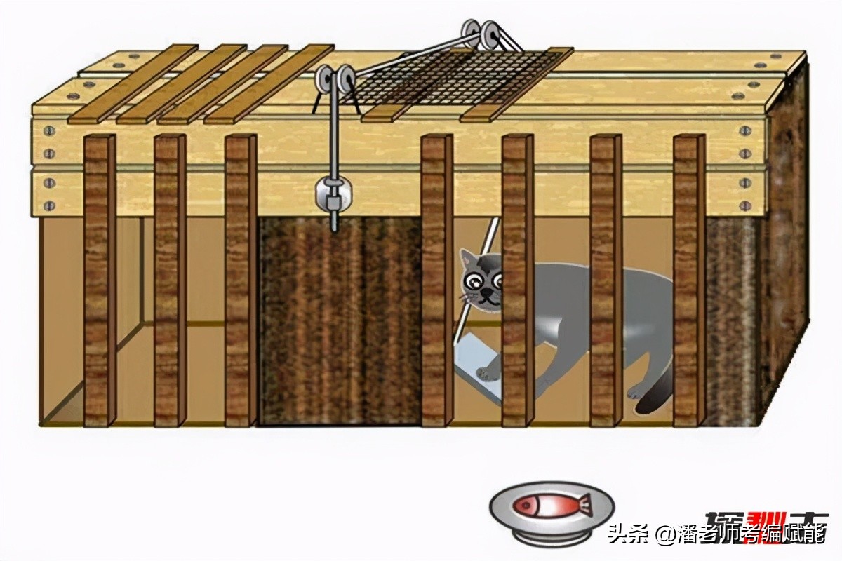 教招考试题目有哪些,教招考试有哪些题型