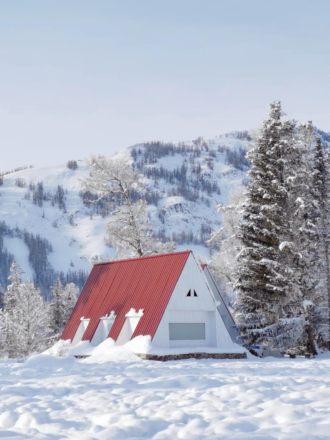 醒图app人像修图使用教程,网红app修图教程