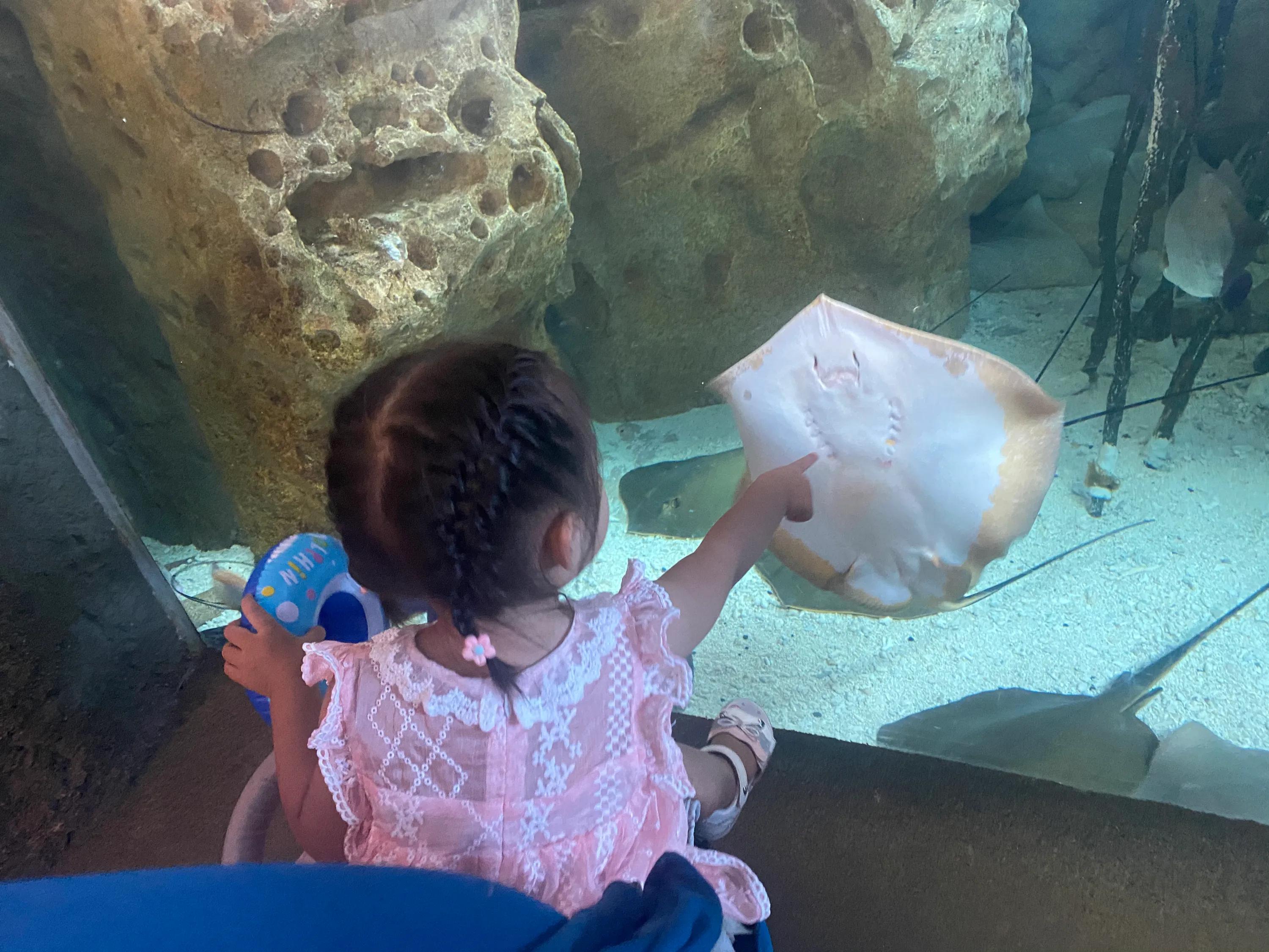 珠海长隆海洋王国游玩最省钱攻略,珠海长隆海洋王国游玩隐藏攻略