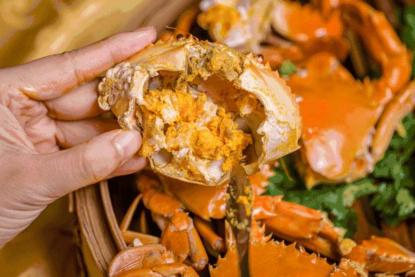 中国动物死亡事件,全国每年有多少动物死亡