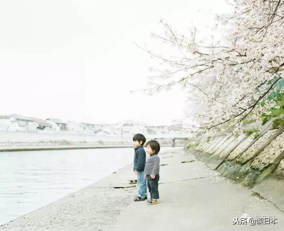 宾得pentax67,pentax人像胶片机