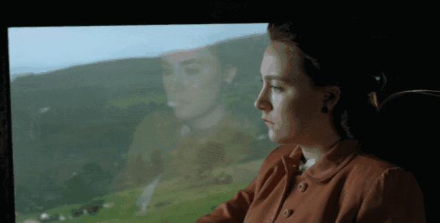 不在深圳的这七天，你水土不服了吗？