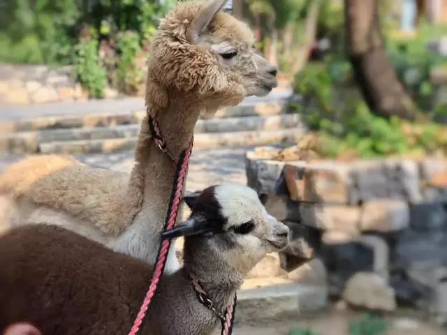 鍖椾含閲戞捣婀栧厤璐归湶钀ョ殑鍦版柟,閲戞捣婀朼kid姘翠笂杩愬姩