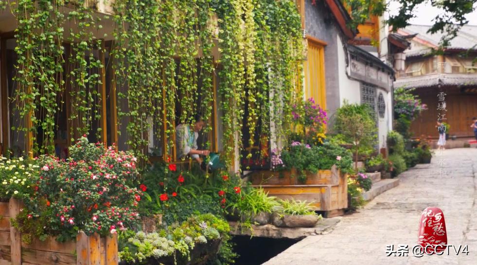 丽江为什么会吸引人,丽江为什么会成为民谣歌手聚集地