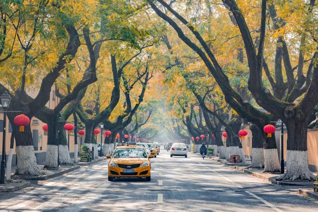 南京值得去生活吗,在南京生活15年的感受