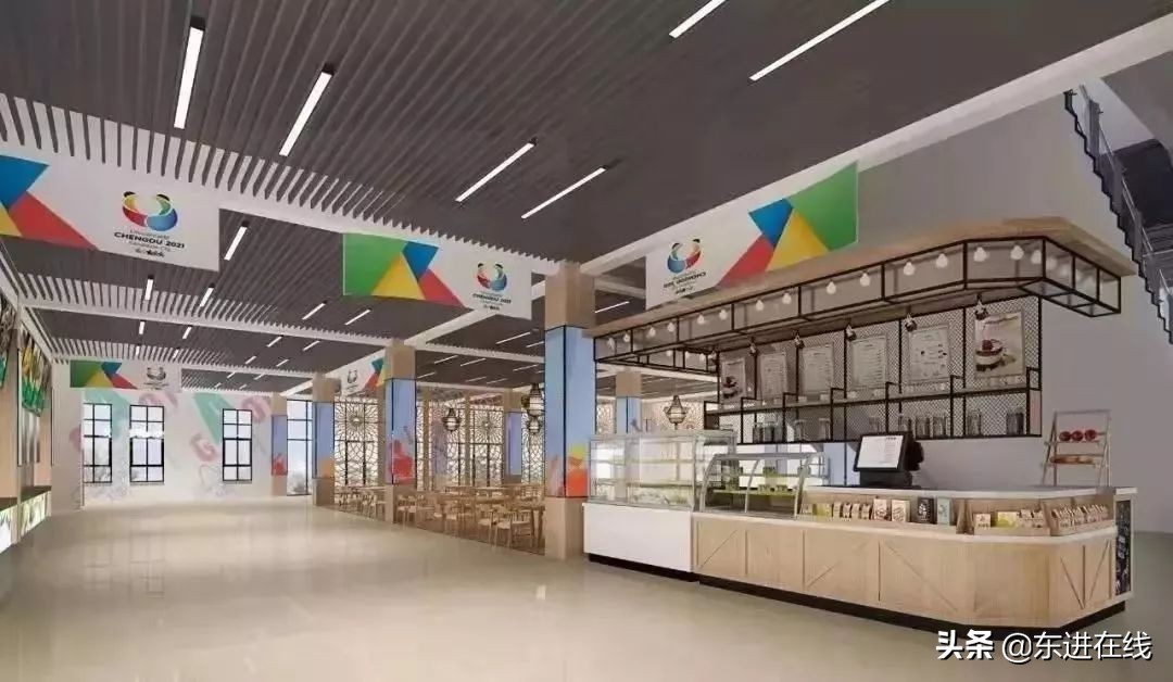 成都东安新城效果图,成都龙泉东安新城规划