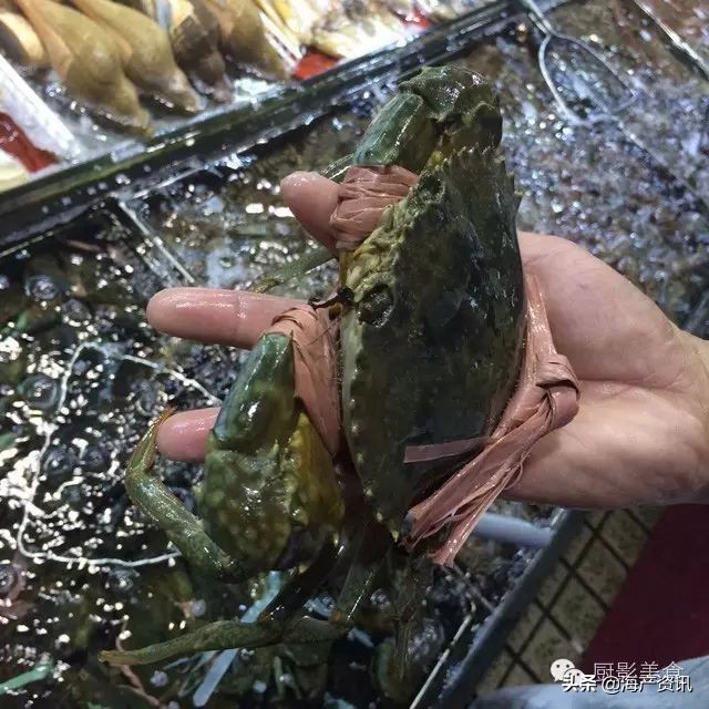 这些诱人的美食你吃过吗,世界上顶级海鲜大全你吃过几种