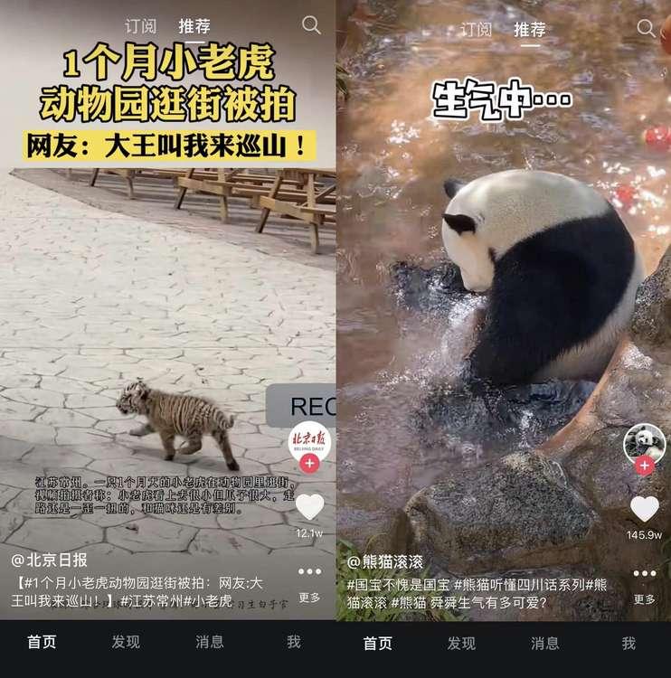 这一刀太狠了,这一刀太狠了原版