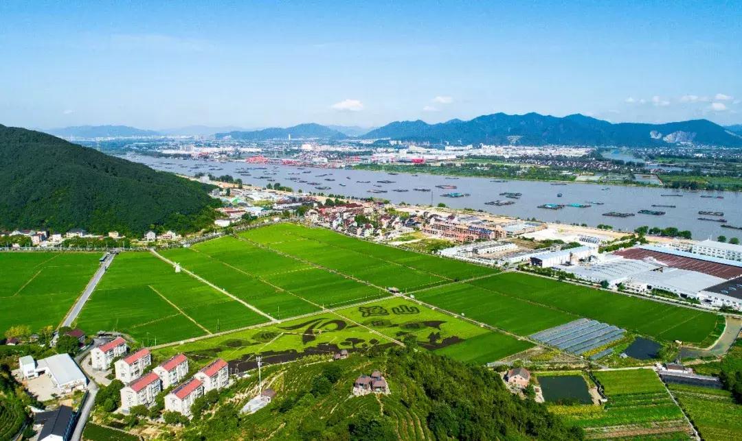 钱塘江出现巨幅画作,钱塘江大潮图片绘画