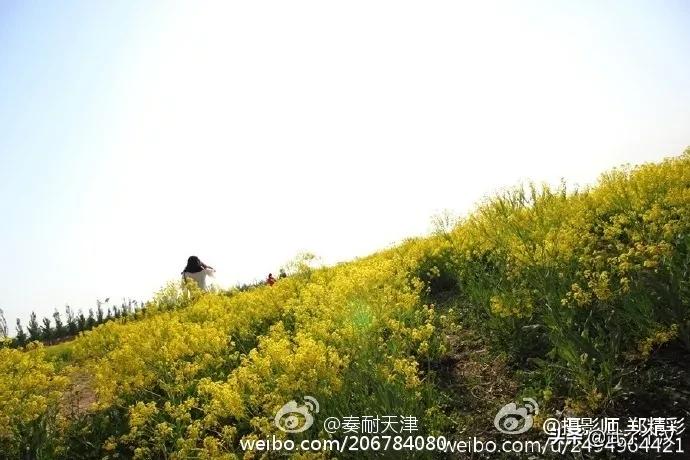 静海在天津的地位,天津静海的发展