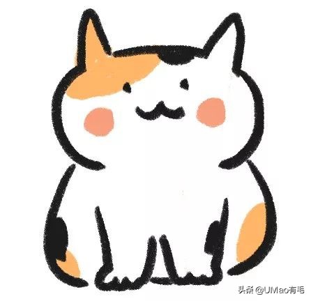 胖橘猫和黑猫,橘猫黑猫白猫哪个最可爱