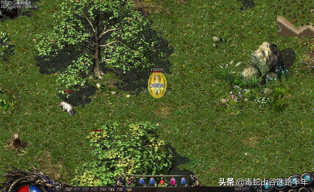 热血传奇秒卡版和怀旧版哪个划算,热血传奇怎么进入荣耀等级的界面