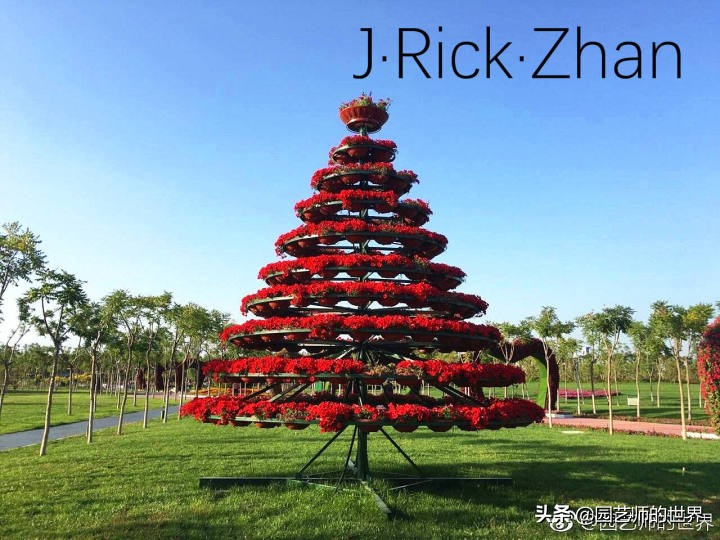 适合北方庭院种植的低矮草坪,家庭庭院怎样混搭种植草坪和蔬菜