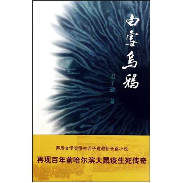 白雪乌鸦简介,白雪乌鸦内容简介