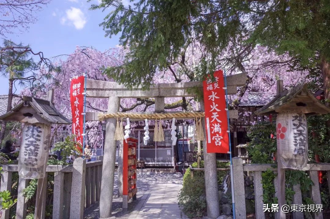 我在京都,攒下一整个春日的绝美樱色送给你。