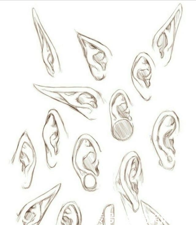 动漫人物头部怎么画简单,动漫头部各个角度画法