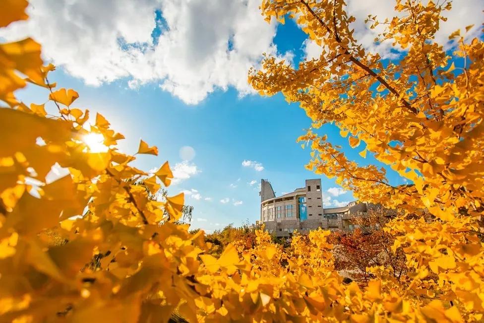 辽宁大连民办大学,大连辽宁二本大学