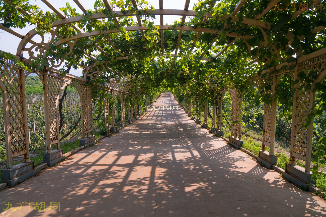 北京密云张裕爱斐堡酒庄一日游,密云张裕爱斐堡酒庄好玩吗