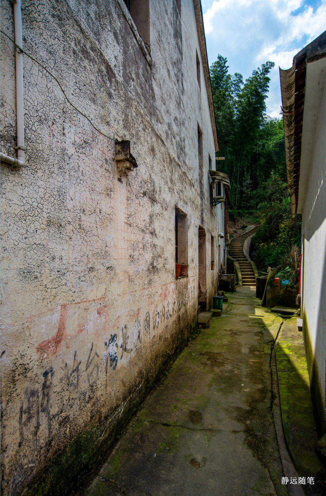 浙江富阳上官球拍有限公司,富阳上官乒乓球拍厂