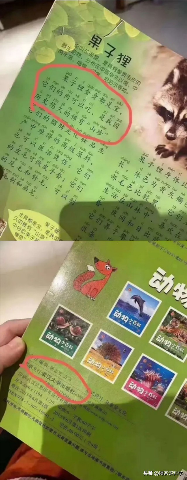 蝙蝠疫情的认识,蝙蝠疫情的危害