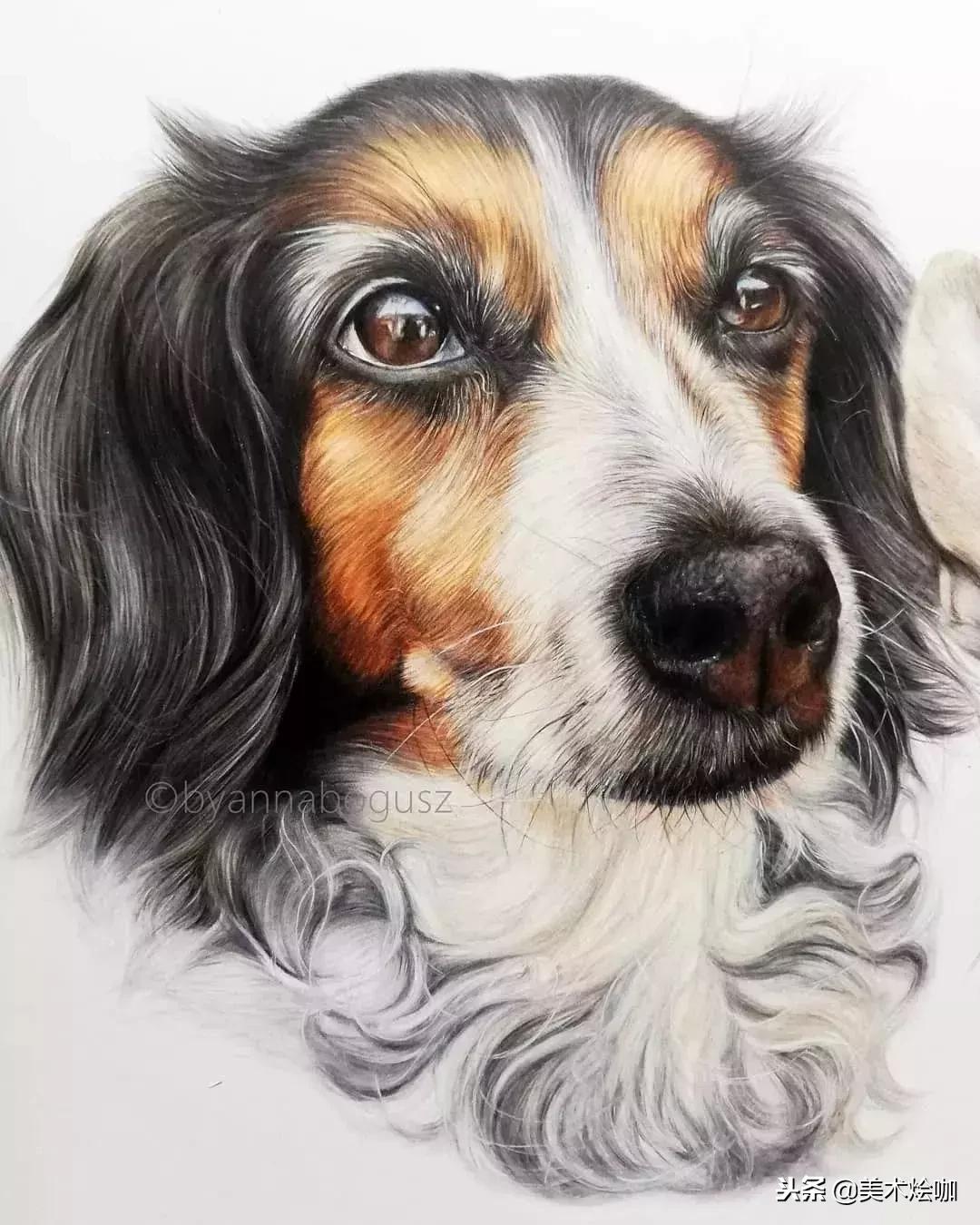 彩铅画教程超写实零基础入门,超写实彩铅画高清大图水果组合