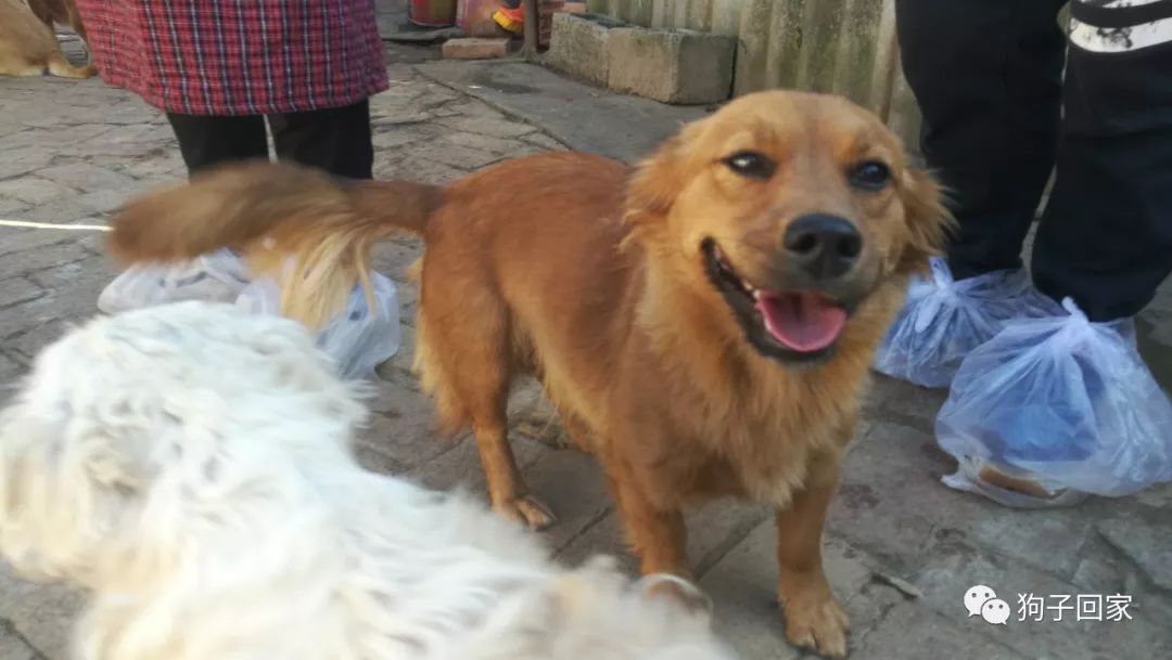 每一个生命都需要被尊重和善待,每一个生命都要被尊重被温暖