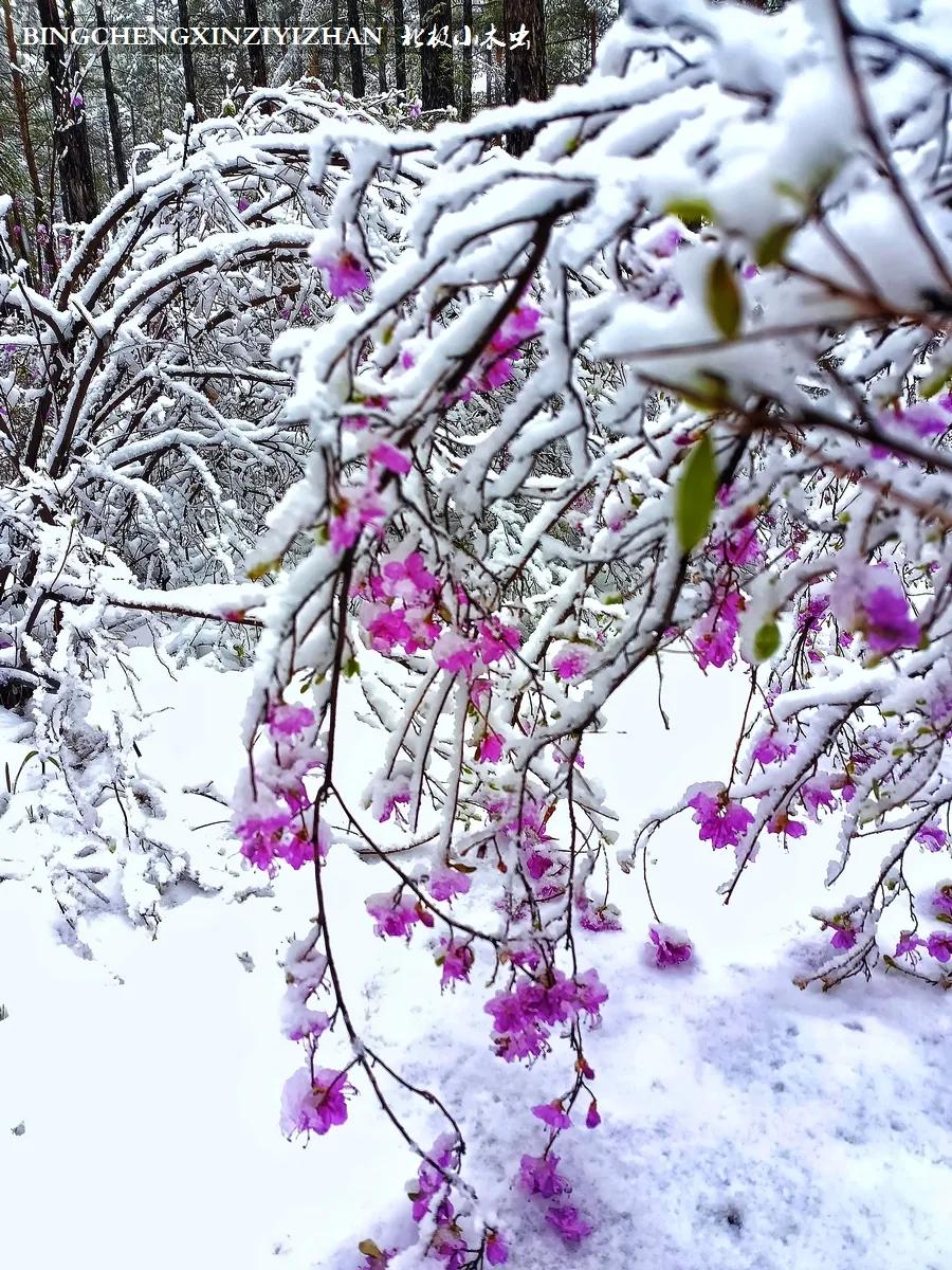 寻找中国最美的春季,探寻中国最美秘境
