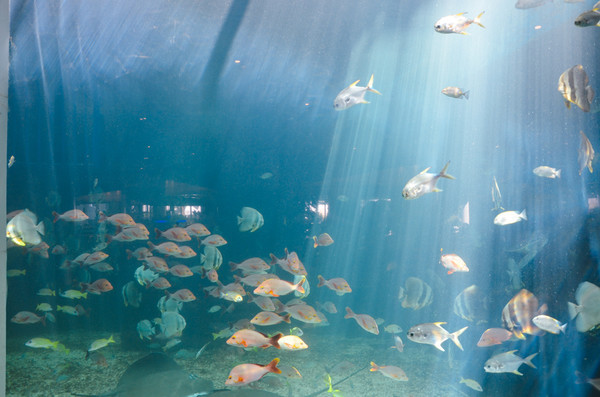 三亚休闲度假旅游攻略推荐,三亚休闲度假旅游攻略