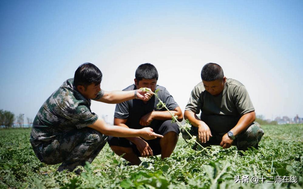 瀛﹀厷寤哄仛鍏堥攱淇冨彂灞曠珛鏂板姛,鍥犲湴鍒跺疁寤虹珛鐗硅壊鍏氬缓闃靛湴