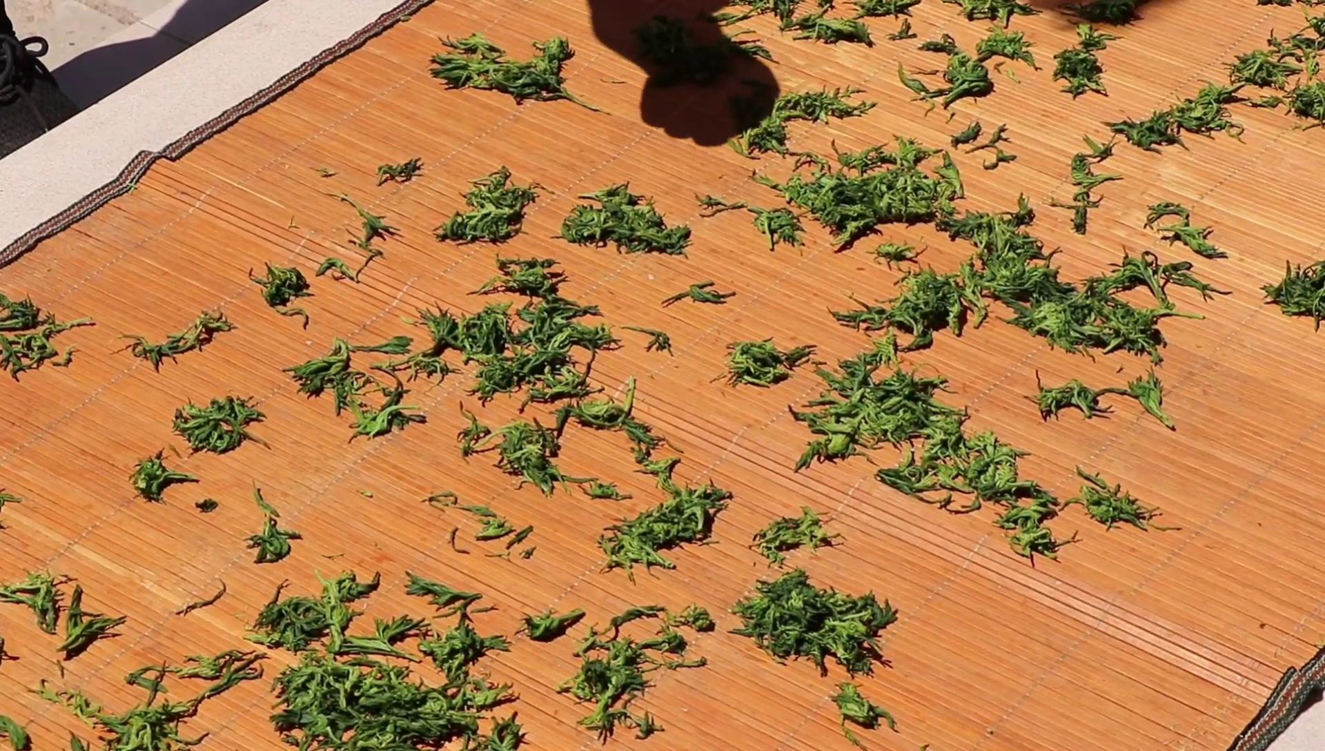 艾叶茶制作配方,艾叶头怎么做成艾叶茶