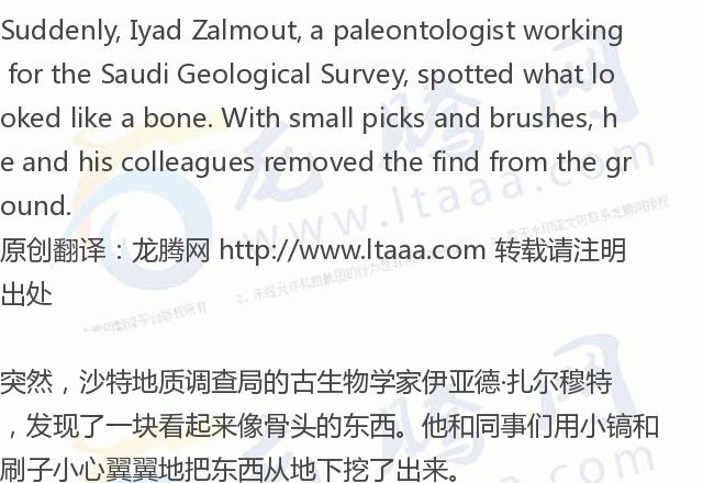 龙腾网为什么在韩国发展,龙腾网的国际空间站