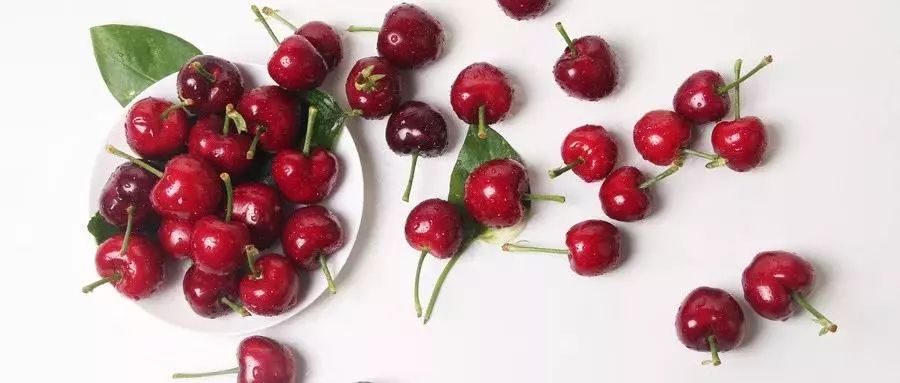 说走就走的樱桃采摘之旅,樱桃采摘园一日游攻略