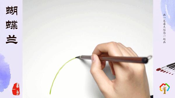 水彩画蝴蝶兰怎么调色,彩铅画花卉蝴蝶兰画法步骤图