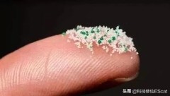 神秘海洋里边的海草怎么修复,神秘海草