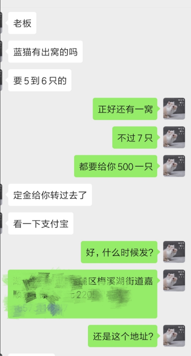 宠物店生意好做吗,宠物店生意前景怎么样