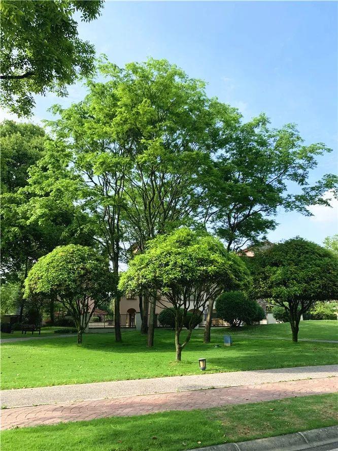 160万套房子需要多少亿,160万房子134平方