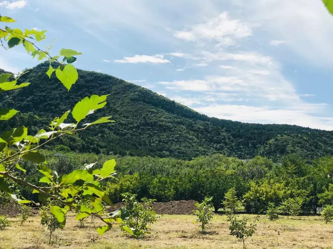 此生一定去要去的地方,此生一定要去这个地方