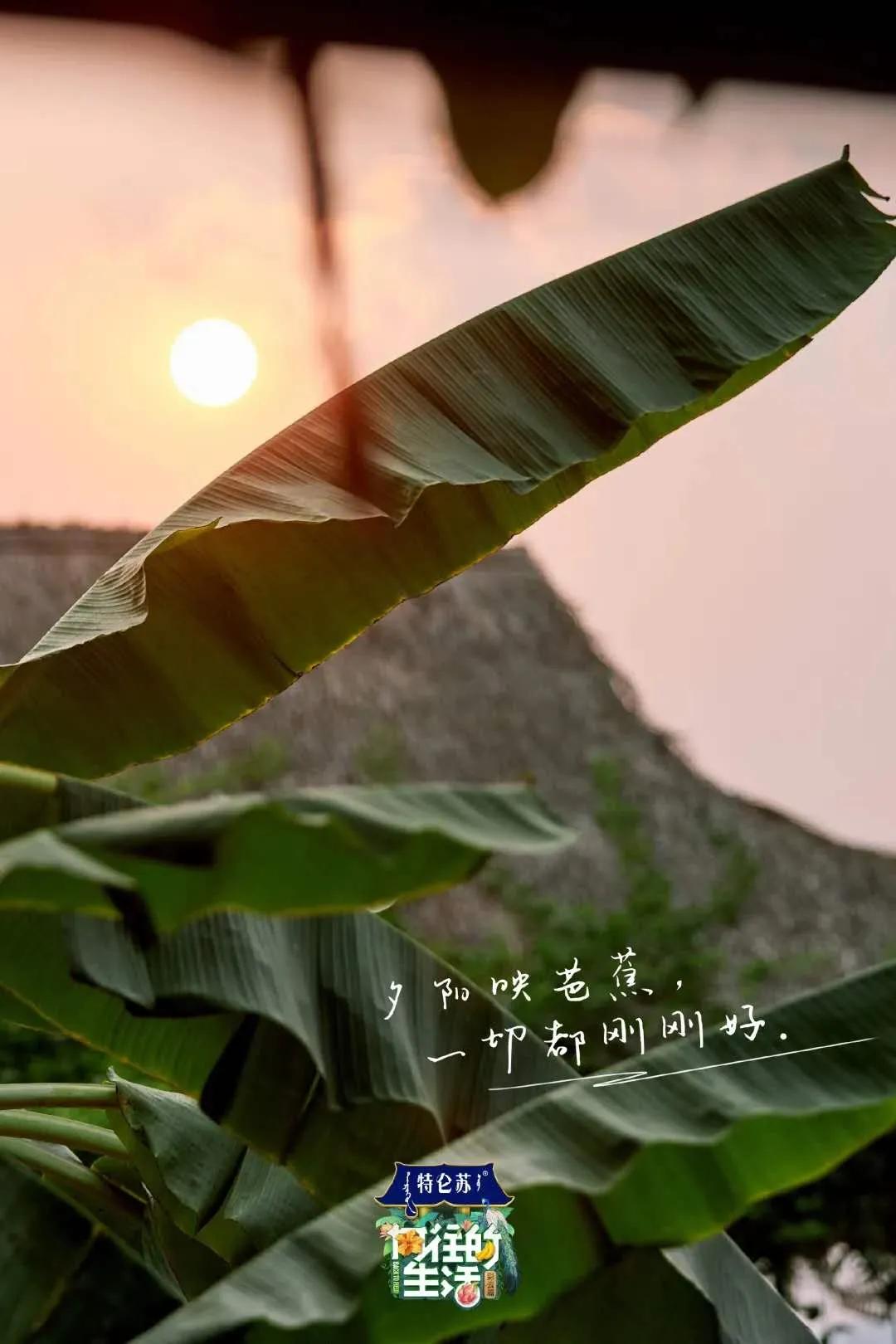 向往的生活第四季西双版纳第一集,向往的生活第四季西双版纳拍摄地