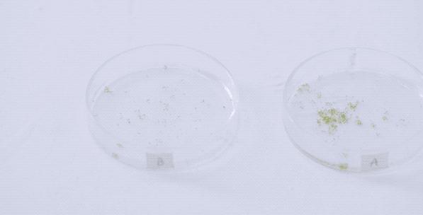 笔记本电脑抗蓝光和护眼屏的区别,防蓝光护眼电脑屏幕真的能有效吗