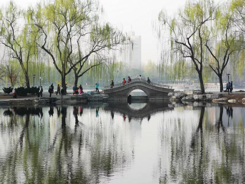 2022年世界手机摄影大赛征稿,手拍世界摄影网