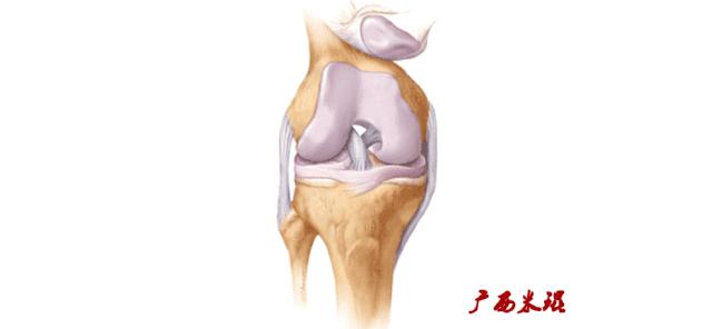 膝盖扭伤前交叉韧带损伤可以热敷,前交叉韧带扭伤最快自愈方法
