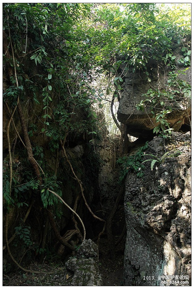 黄果树景区天星桥有没有必要去,贵州黄果树天星桥景区人山人海
