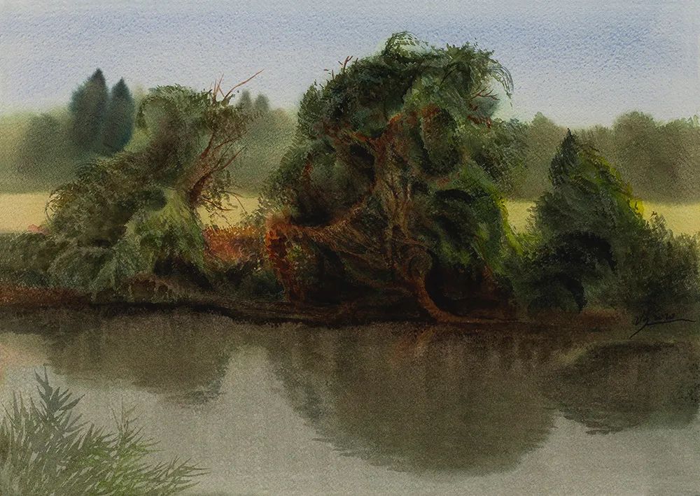 阿文绘画工作室,阿文流体画荷花